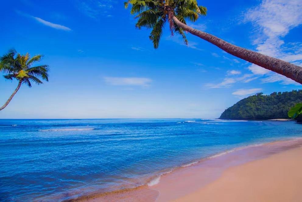 Survivor Samoa Beach Resort Falelatai Zewnętrze zdjęcie